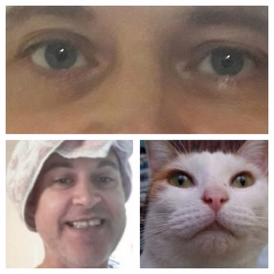 SysyGnuTranslationSciences